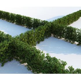 Generic Hedge - Big